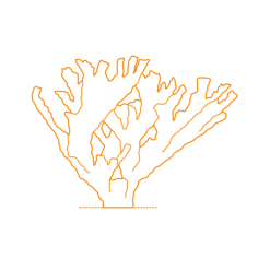 Animals Corals Elkhorn Coral Sticker Svg Vector, Free Vectors File